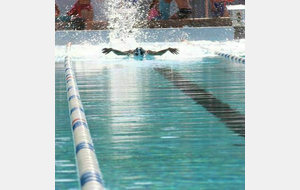 Reprise des Entraînements